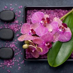Spa and aromatherapy with orchids, stones Zen and sea salt. top view